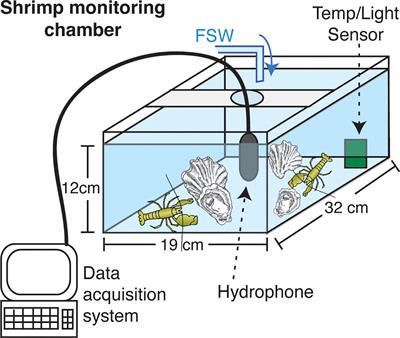 Sounds of a changing sea: Temperature drives acoustic output by dominant biological sound-producers in shallow water habitats